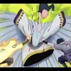 nameno7555
