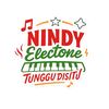 NINDYELECTONE