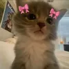 wqiirw