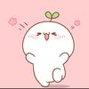dung.1245