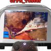 6fps.toster