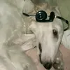 _sopppelka_