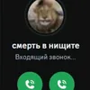 tyqolp_67
