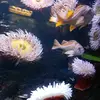 user61xbjpkgnh