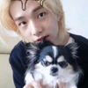 jola_lsks71js