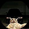 tomamiranda24