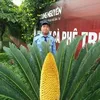 tienquang1405
