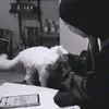 n_a1o0