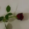 baharedlllan5