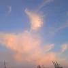 baroni_23