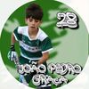 joaopedrograca28