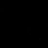 d3d1nsi6