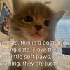 cutefellastuve08