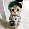 j.c_game