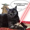 kolbaska.cat