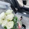 lady.fa33