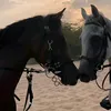 luna_estrilla