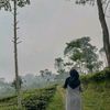 ss.kaaaaa25