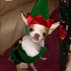 neny_4.2
