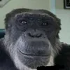 mushuruy_3