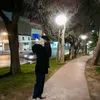 dario_l17