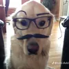 nhbjkllmnvc