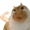 alaleiyn