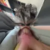 mihightom