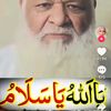 saeedpeshawer8gmai
