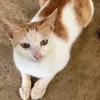 _thanhduyen25_
