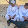 alfathhasanhamed