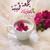 user3117578528600
