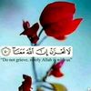 hekmahmuhammad