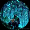 reval_gamer2.5