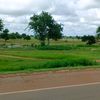 bundu484
