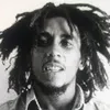 bobmarley0218