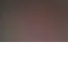 rick_maromba