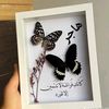 hagarmohamed419