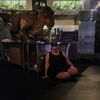 crystaldavis5425