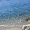 lorydeluca4