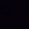 leonardo_s.g
