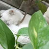 sally___1112