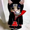 raksa_x_7
