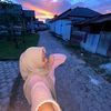 _kylaaput
