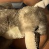ontymu5577