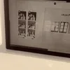 fuonqwduqq
