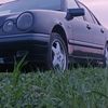 1mercedes_804