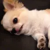 thor_socute