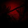 __darkdevil_366