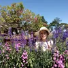 hoaitit_121288